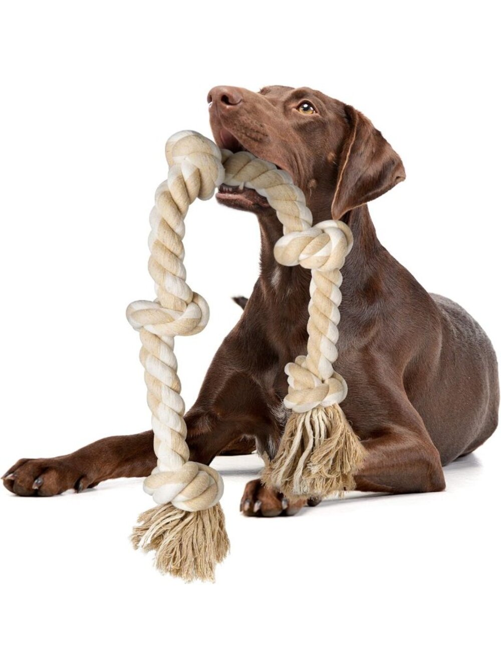 Durable Dog Rope Toys for Aggressive Chewers | Chew Toys for Large & Medium Dogs
